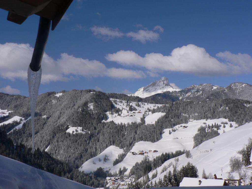 Hotel Alpenrose Dolomites Ла Вале Стая снимка