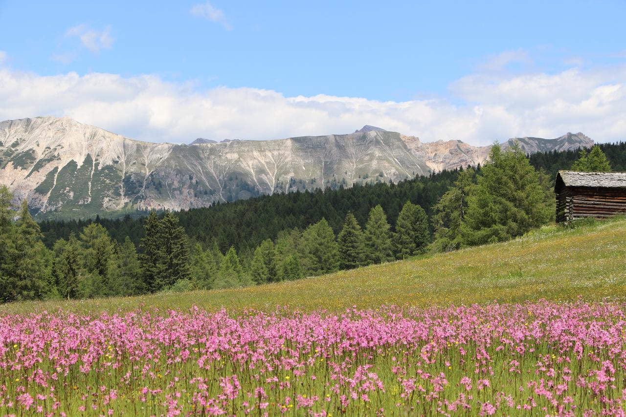 Hotel Alpenrose Dolomites Ла Вале Екстериор снимка