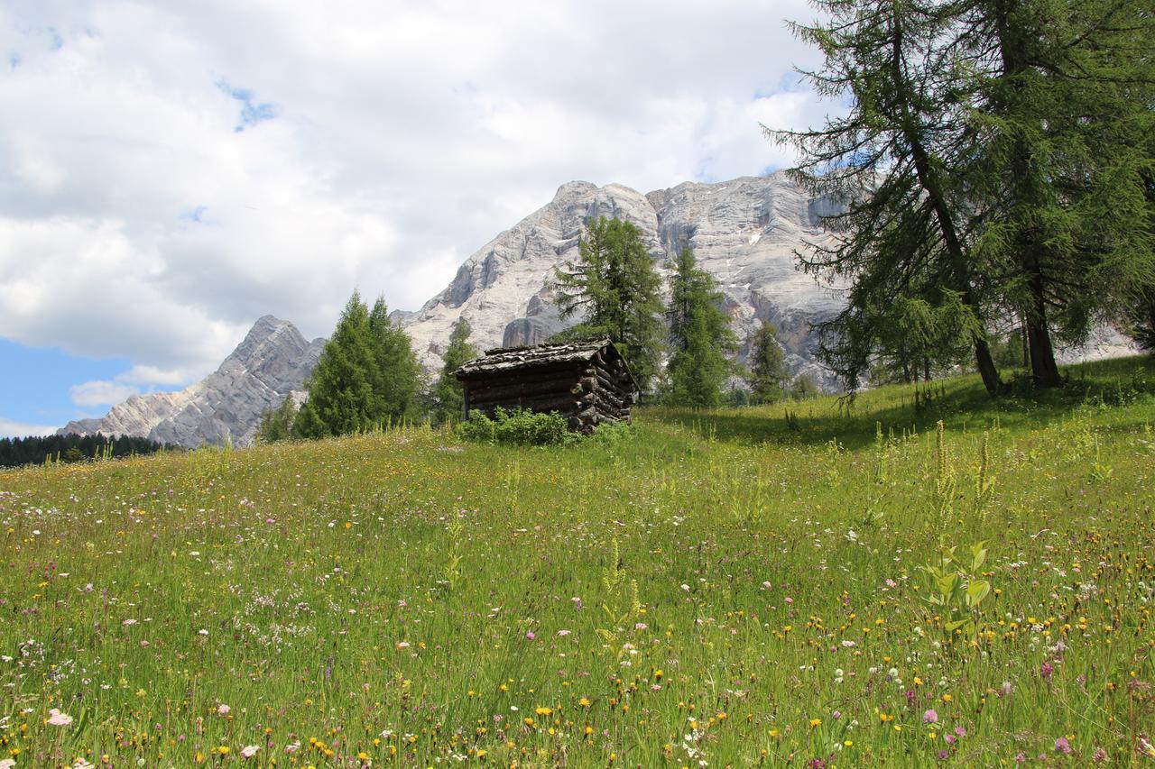 Hotel Alpenrose Dolomites Ла Вале Екстериор снимка