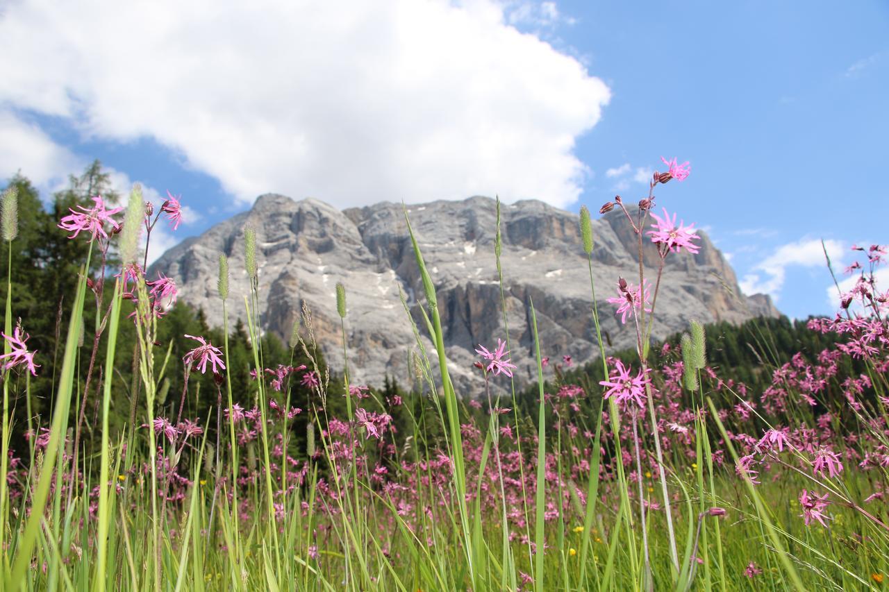 Hotel Alpenrose Dolomites Ла Вале Екстериор снимка
